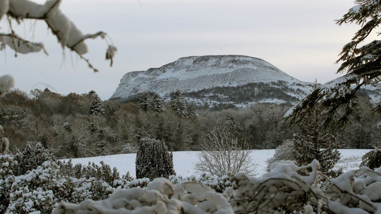 View of Benaughlin from the Summer House in the Pleasure Grounds at Florence Court in County Fermanagh, Northern Ireland